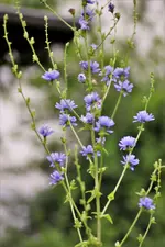 image005.jpg image005.jpg