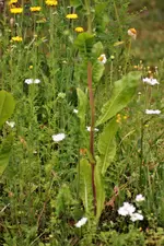 image006.jpg image006.jpg