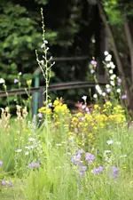 image007.jpg image007.jpg