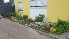 20210605_103028.webp