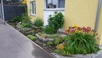 20210622_074737.jpg