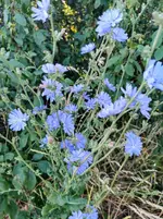 IMG_20210622_072522.webp IMG_20210622_072522.webp