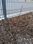 IMG_20210623_185458.jpg