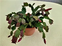 IMG_20210624_144000_1.webp IMG_20210624_144000_1.webp