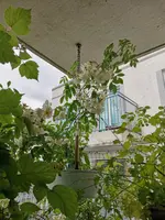 IMG_20210624_163419.webp