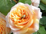 DSCN8200.JPG