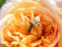 DSCN8205.JPG