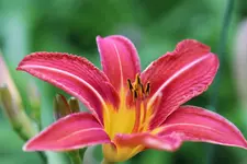 image001.webp