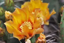 image003.webp