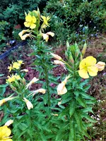 IMG_20210624_195619.webp