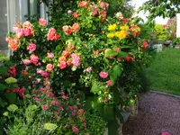 DSC01850.JPG