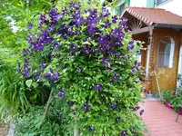 DSC01855.JPG