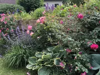 BB75F03E-6A02-4DD4-A030-C4DC978A4823.webp
