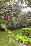 IMG_20210625_0802551.jpg
