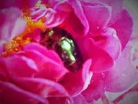 DSCF4765 (2).webp
