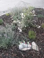 20210625_082717.webp