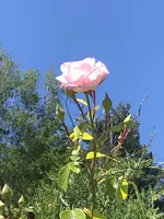 1BD90C76-14F5-4664-B219-090521746E03.webp