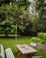 IMG_20210625_1321511-01.webp