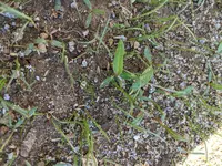 PXL_20210624_132004957.jpg