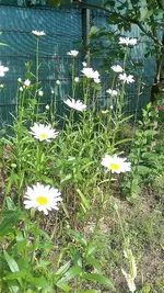20210625_090603.jpg