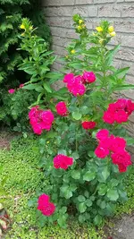 20210625_122459.webp