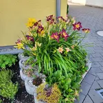 20210625_173506.webp
