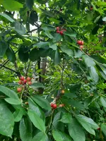 20210625_190317.webp