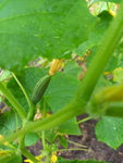 20210625_183038.jpg