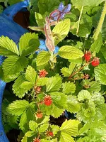 20210625_183307.webp