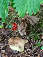 20210625_194504.webp