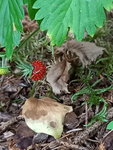 20210625_194504.jpg