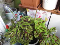 IMG_1707.webp