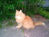lenin garten 2.webp