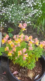 20210624_193209.webp
