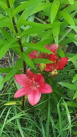 20210623_193412.webp