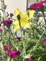 2D26373D-3A7A-46F6-98C3-DFBDC2EAA187.webp