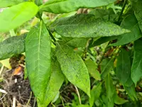 20210625_130338.jpg