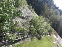 20210626_110921.webp