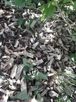 20210626_110939.webp