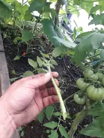 20210626_112056.webp