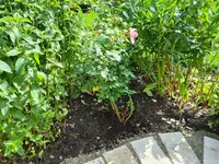 20210626_171330.webp