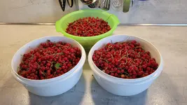 20210626_170529.webp