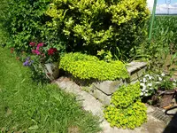 DSC01864.JPG