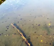 20210626_171452.webp