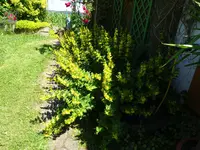 DSC01862.webp
