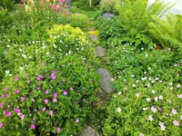 DSCF4778 (2).webp
