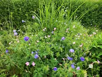 DSCF4779 (2).webp