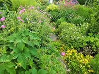 DSCF4785 (2).webp