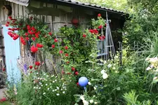 Juni    2621.webp