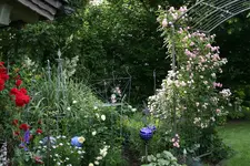 Juni    2921.webp